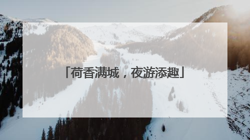 荷香满城，夜游添趣